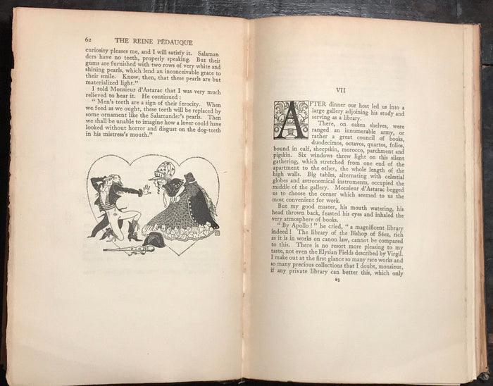1926 ANATOLE FRANCE ~ AT THE SIGN OF THE REINE PEDAUQUE, Illust. Frank C. Pape