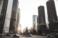 A day in Chicago Wall Mural-Wall Mural-Eazywallz