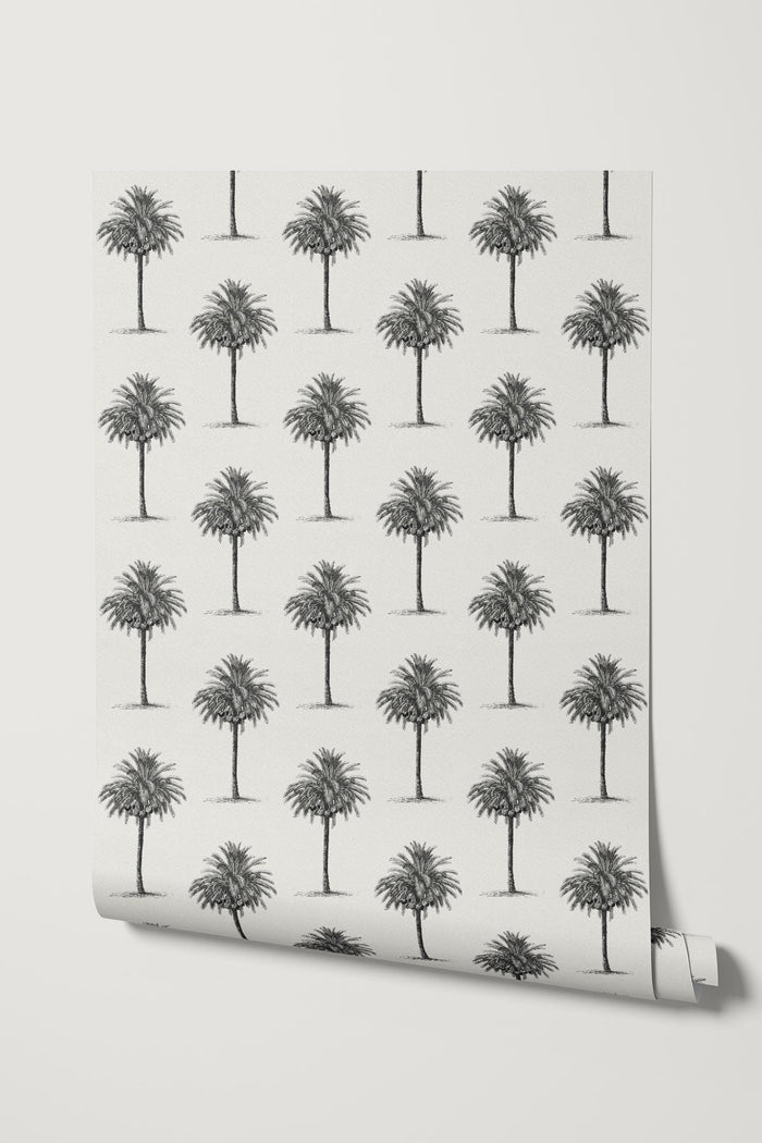 Agadir / Black