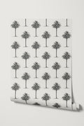 Agadir / Black