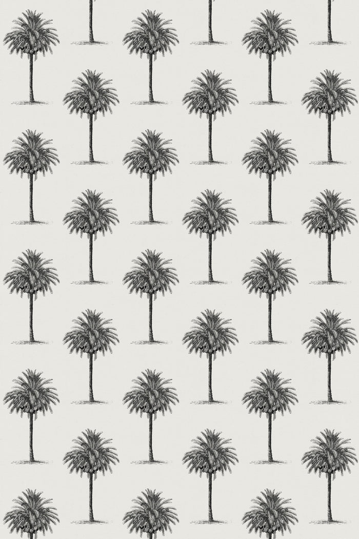 Agadir / Black