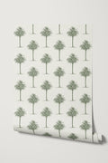 Agadir / Olive