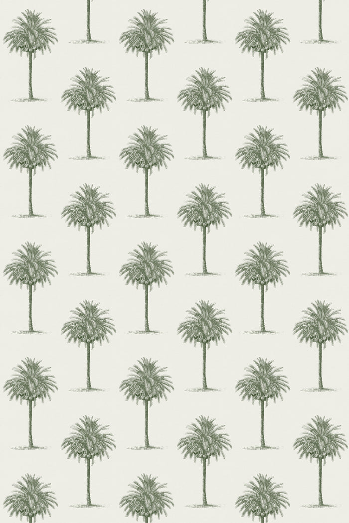 Agadir / Olive