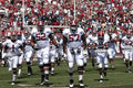 Alabama Football Wallpaper-Wall Mural-Eazywallz