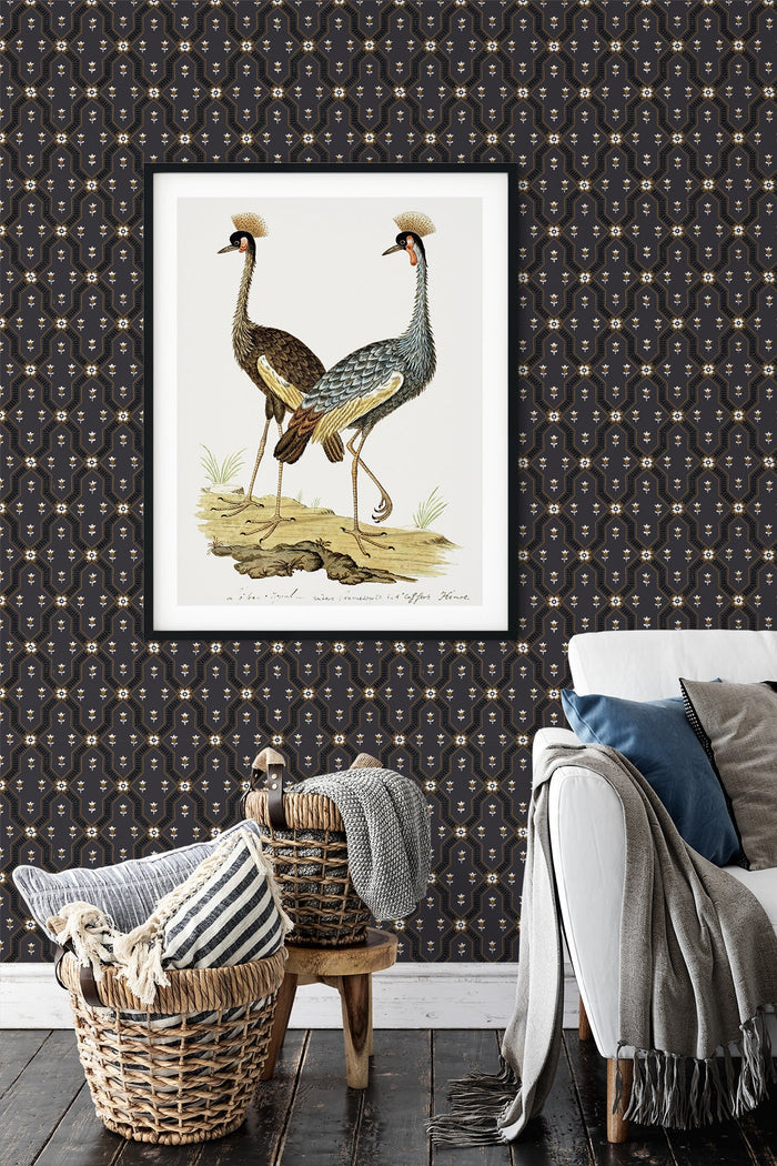 Alcott / Gold