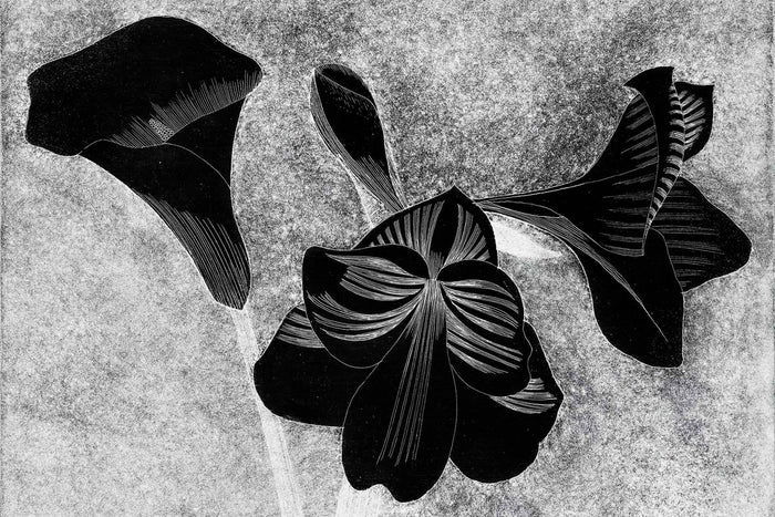 Amaryllis Art Noveau Wall Mural-Wall Mural-Eazywallz