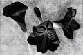 Amaryllis Art Noveau Wall Mural-Wall Mural-Eazywallz