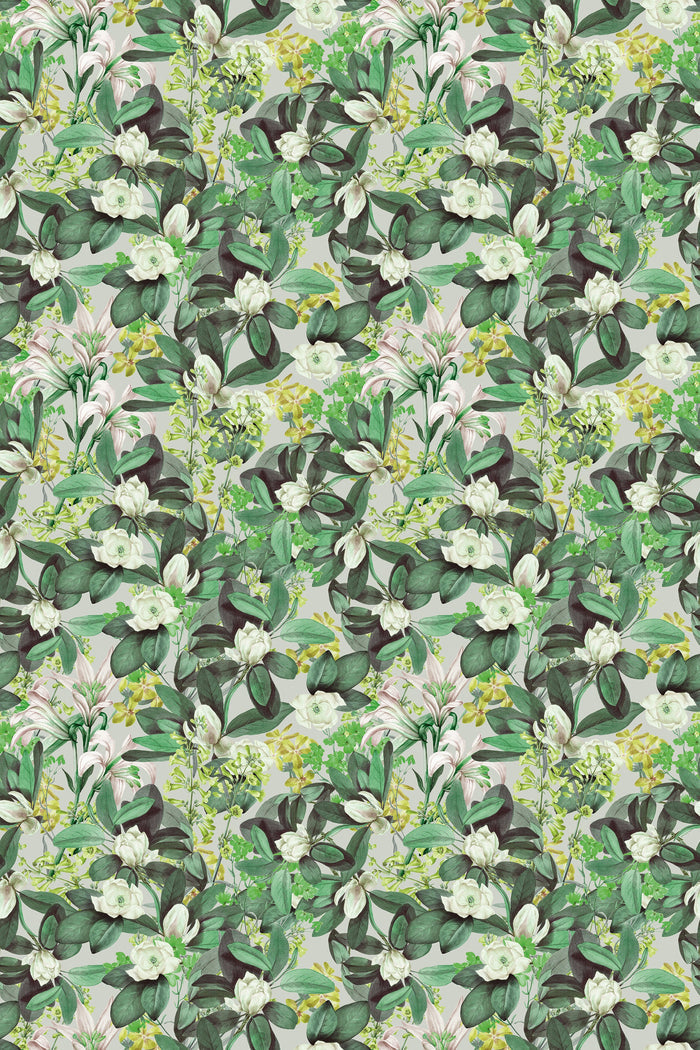 Angelica / Green