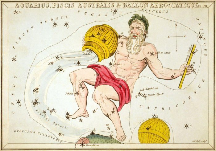Aquarius Wall Mural-Wall Mural-Eazywallz