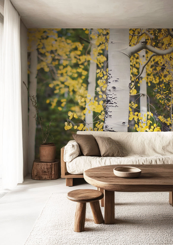 Aspen Trees