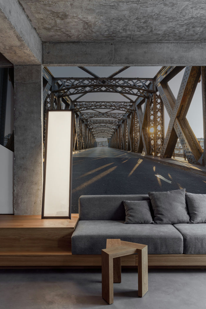 Asphalt Road Beneath the Bridge