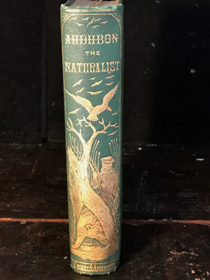 AUDUBON THE NATURALIST OF NEW WORLD: HIS ADVENTURES & DISCOVERIES, St. John 1866