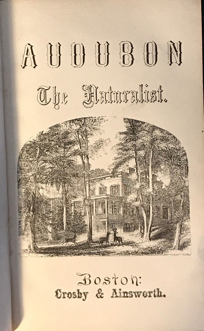 AUDUBON THE NATURALIST OF NEW WORLD: HIS ADVENTURES & DISCOVERIES, St. John 1866
