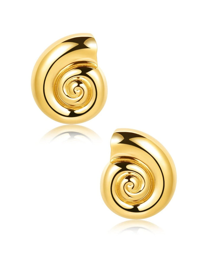shell earrings on white background
