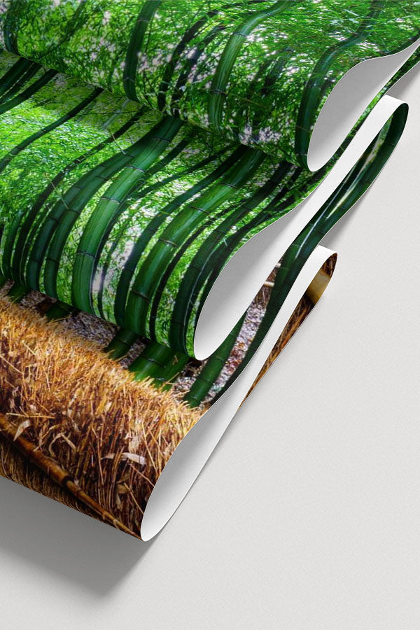 Bamboo Grove