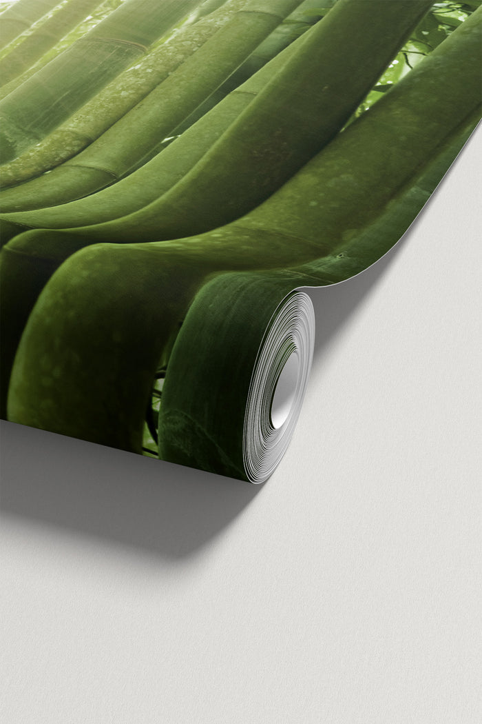 Bamboo Lightfall