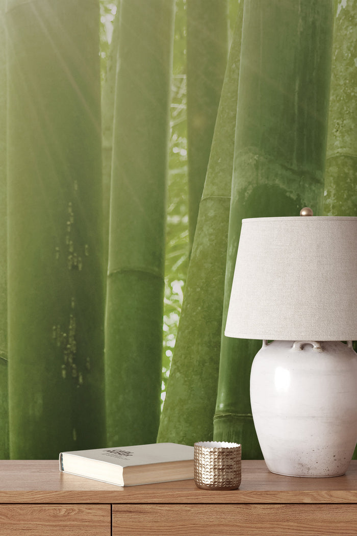 Bamboo Lightfall