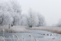 Beautiful winter landscape Wall Mural-Wall Mural-Eazywallz