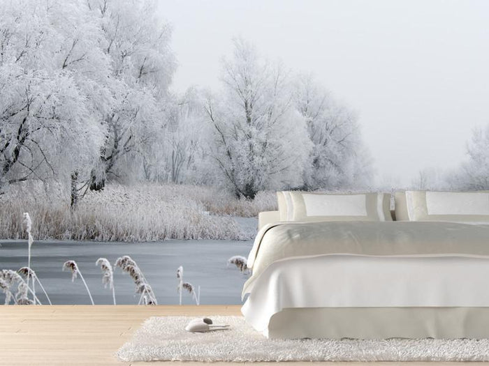 Beautiful winter landscape Wall Mural-Wall Mural-Eazywallz