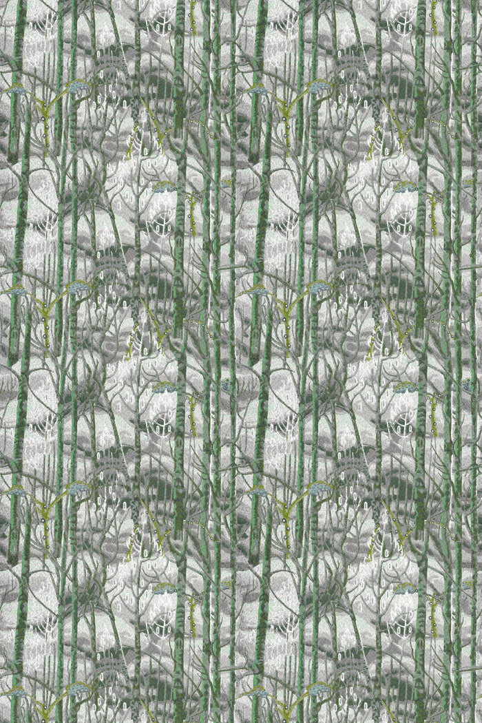 Birch Forest / Sage
