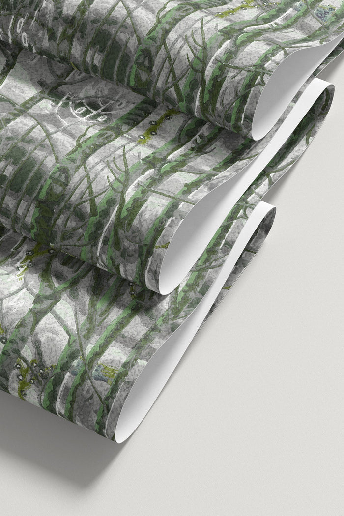 Birch Forest / Sage