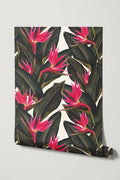 Birds of Paradise / Fuchsia