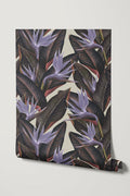 Birds of Paradise / Lavender