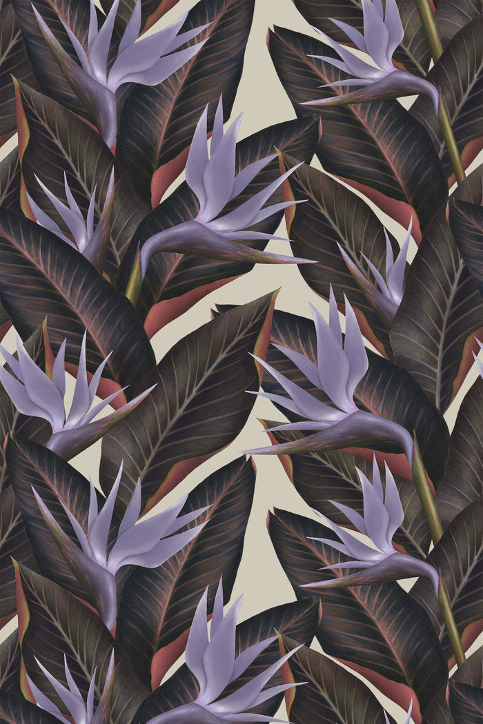 Birds of Paradise / Lavender