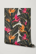 Birds of Paradise / Multicolor