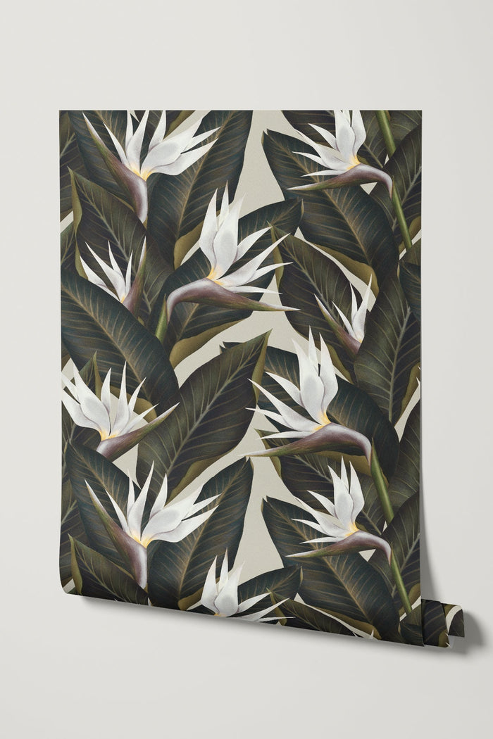 Birds of Paradise / White