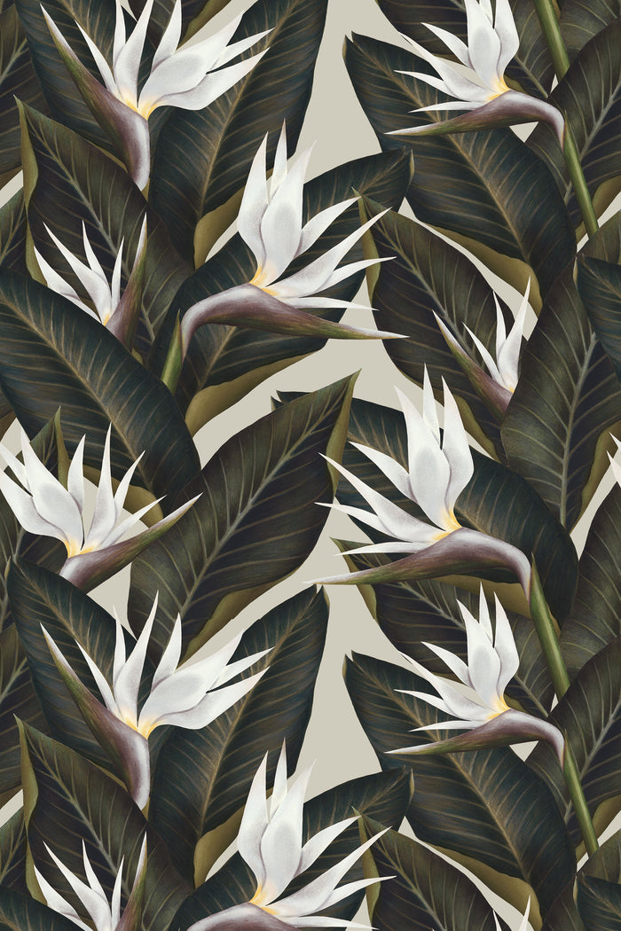 Birds of Paradise / White