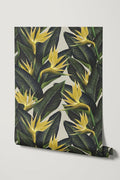 Birds of Paradise / Yellow