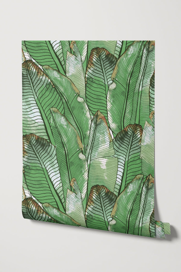 Borneo / Green
