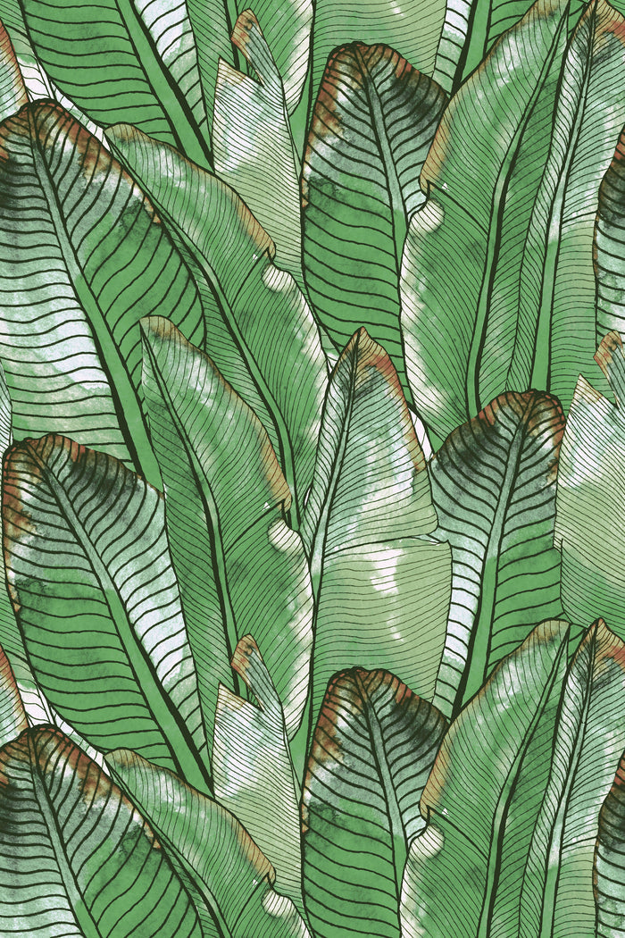 Borneo / Green