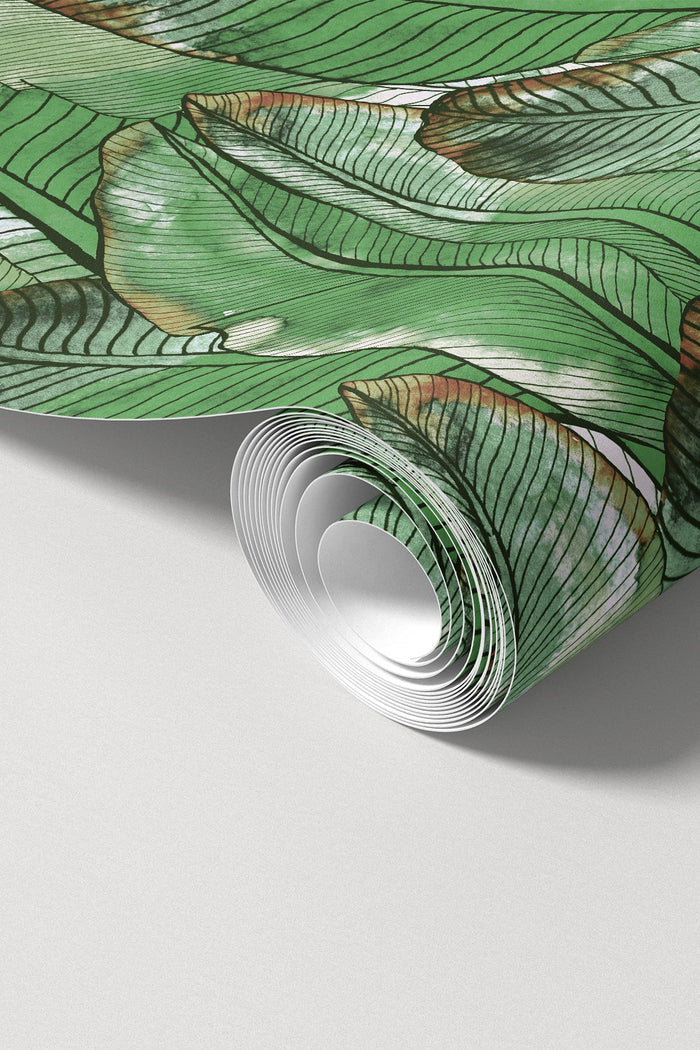 Borneo / Green