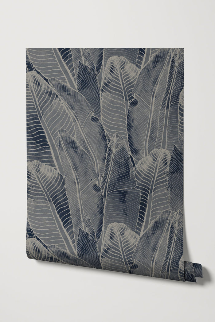 Borneo / Navy