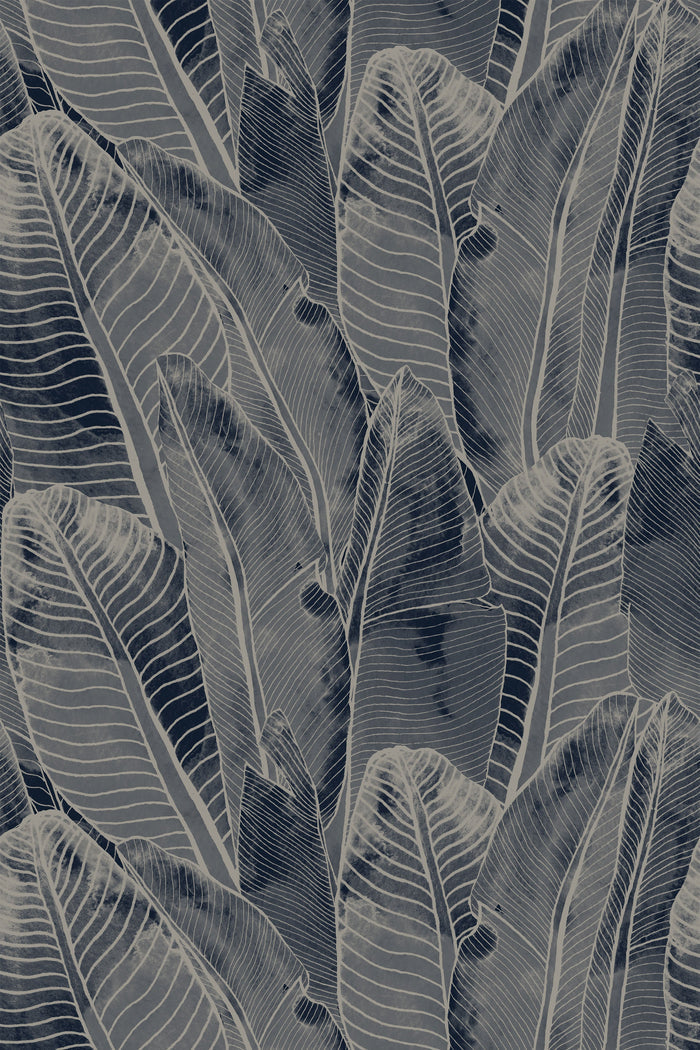 Borneo / Navy
