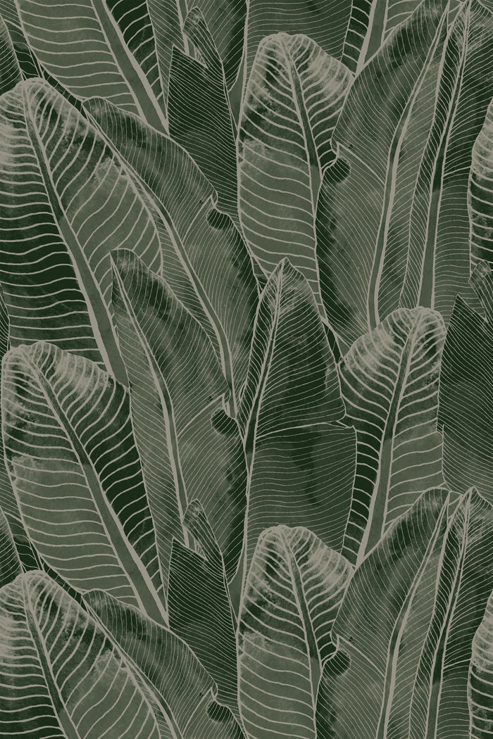 Borneo / Olive