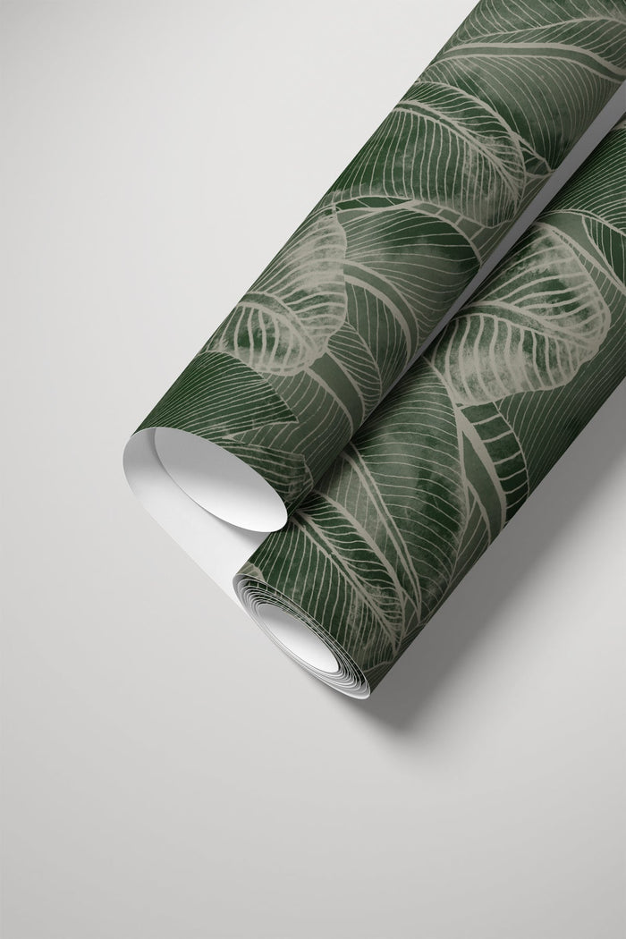 Borneo / Olive