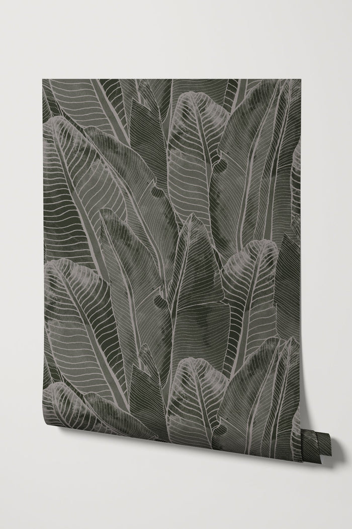 Borneo / Taupe