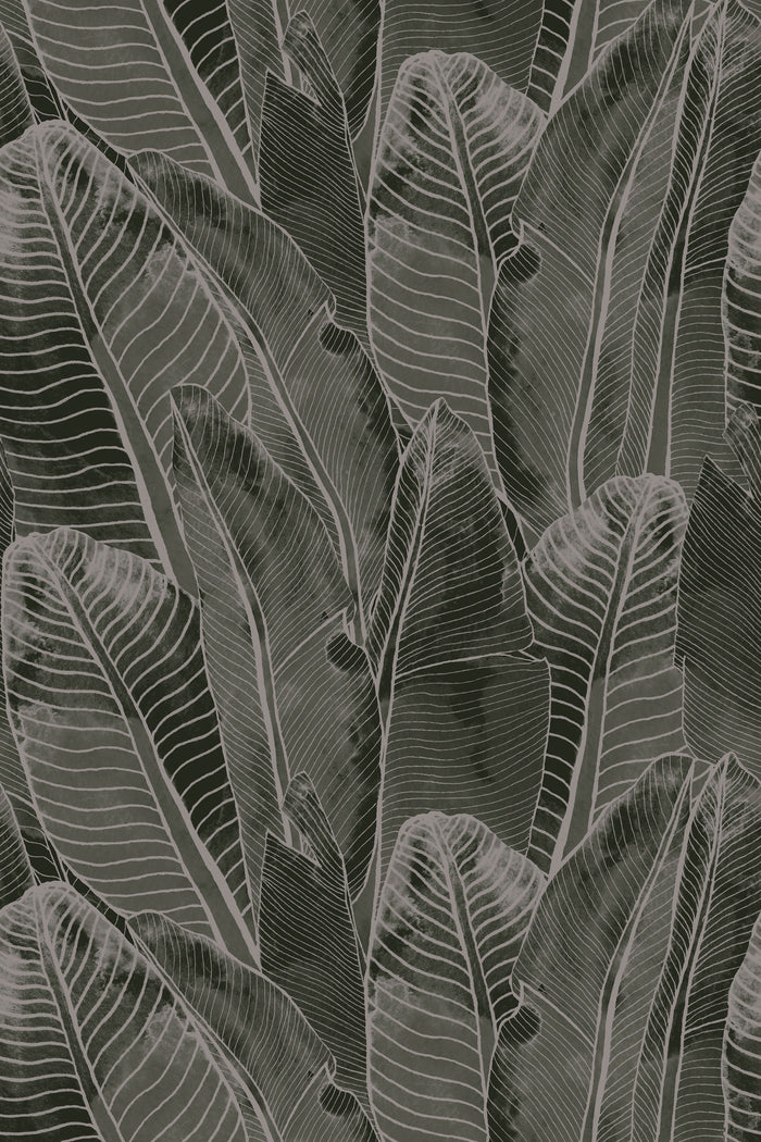 Borneo / Taupe