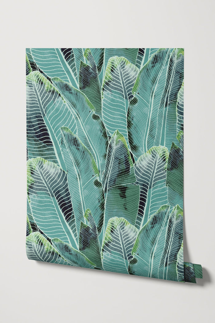 Borneo / Teal