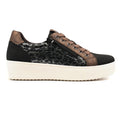 Brenda Black Trainer