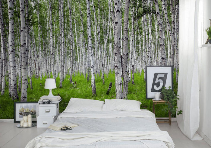 Bright Birch Forest Wall Mural-Wall Mural-Eazywallz