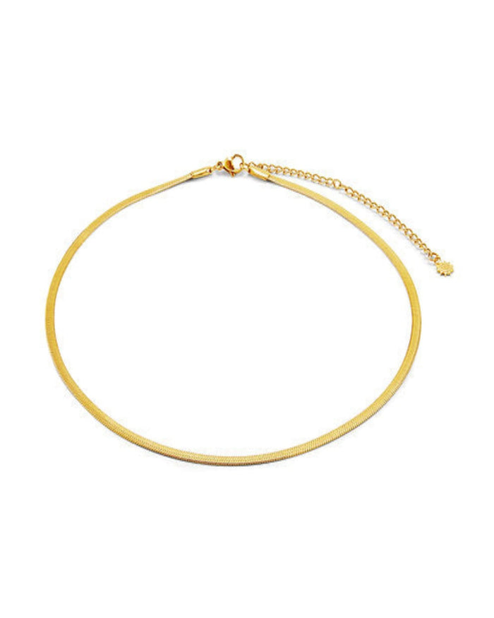 snake chain necklace on white background