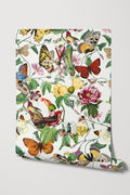 Butterfly Kingdom / Multi