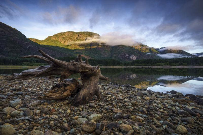 Buttle Lake in Strathcona Park Wall Mural-Wall Mural-Eazywallz