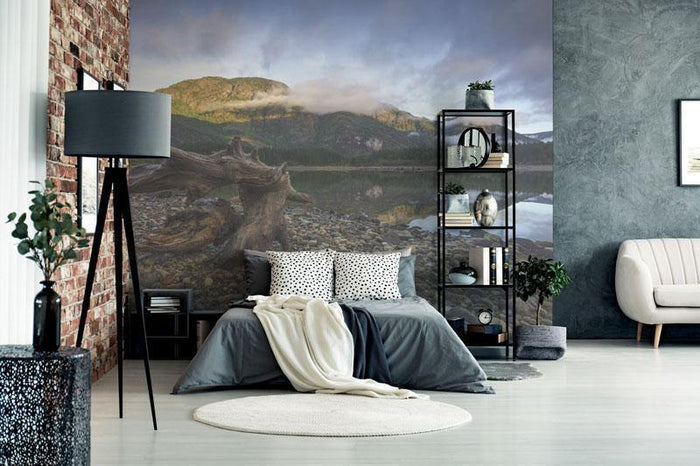 Buttle Lake in Strathcona Park Wall Mural-Wall Mural-Eazywallz