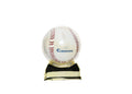 Calgary Cannons Baseball Collectible