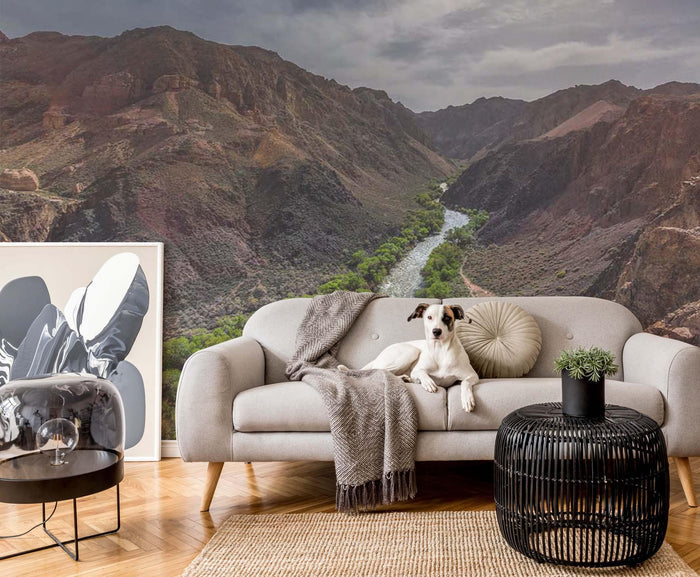 Canyon River Wall Mural-Wall Mural-Eazywallz